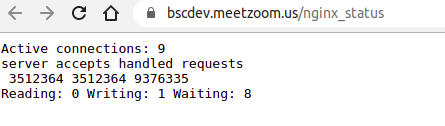 Nginx status on the ShadowIT asset